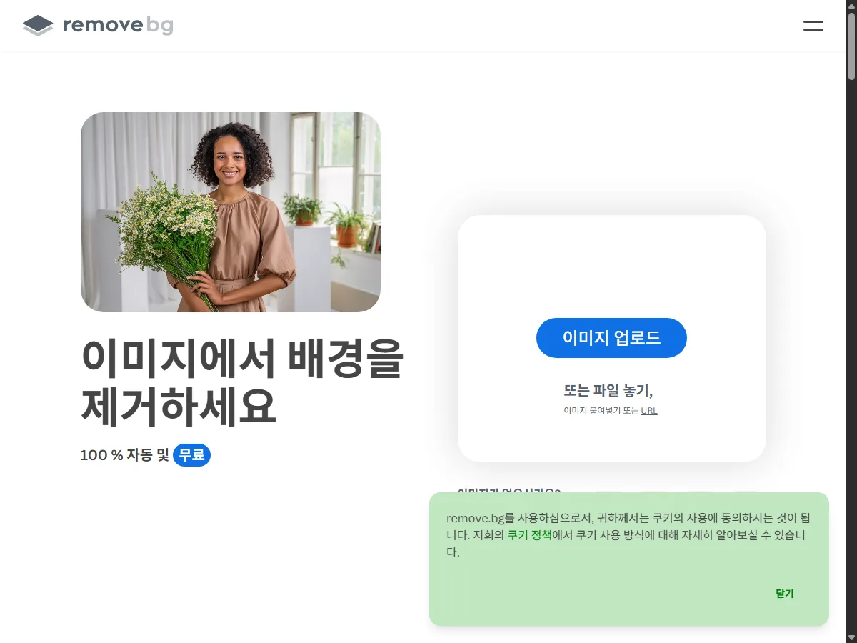 리무브비지 공식 홈페이지 실제 화면